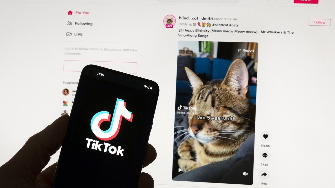 Bill to ban TikTok or require its sale passes House : NPR