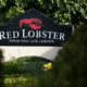 Red Lobster preparing to file for bankruptcy