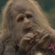 'Sasquatch Sunset' review: Unrecognizable stars play beasts