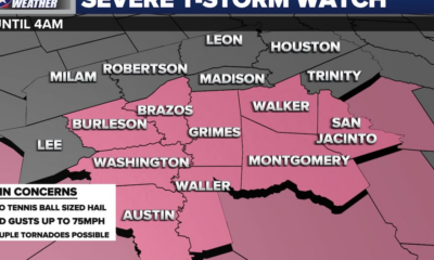 Severe Thunderstorm WATCH remains in effect until 4am