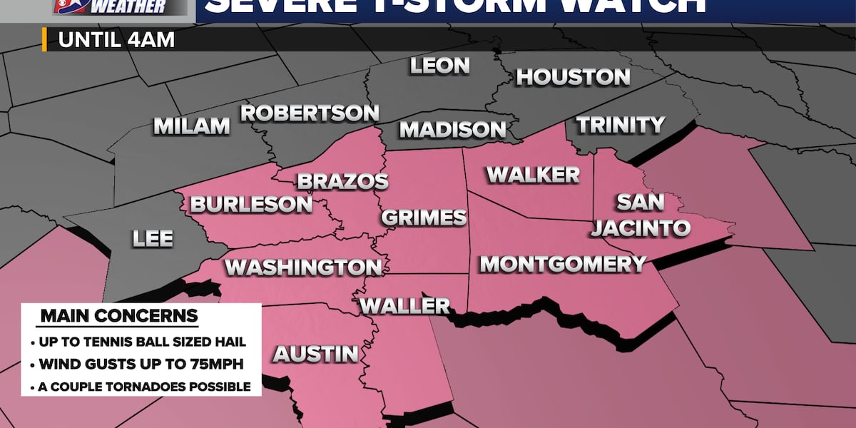 Severe Thunderstorm WATCH remains in effect until 4am