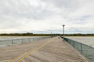 A fishing pier extends ahead lined by green fencing with toward the water off Cape Henlopen State Park.