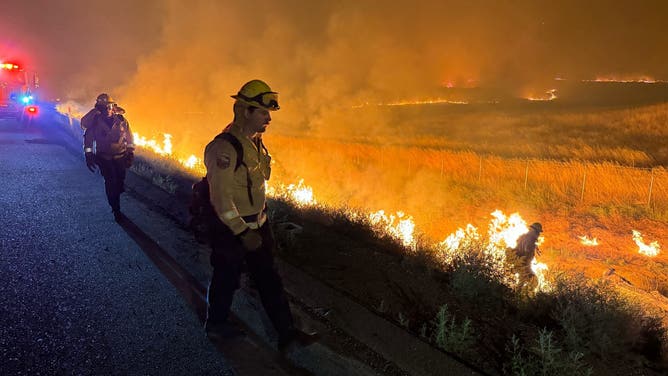 Firefighters fight work to contain the Corral Fire near I-580 in Tracy, California on Saturday, June 1, 2024.