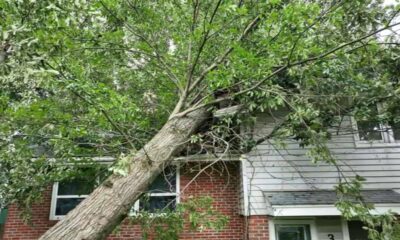 Cleanup continues Thursday after storms down trees, cut power