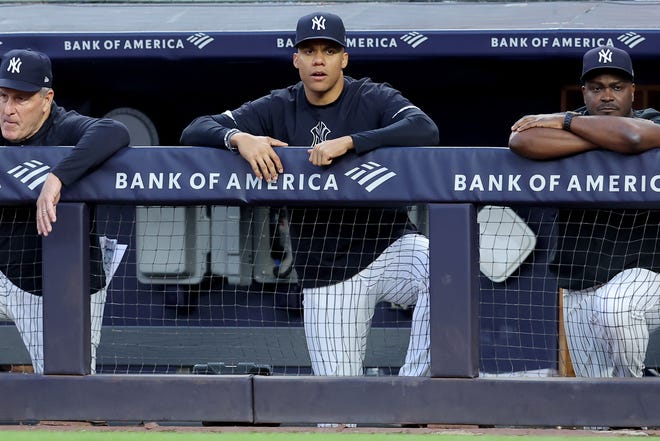 Jun 7, 2024; Bronx, New York, USA; New York Yankees right fielder Juan Soto (22) watches from the bench during the third inning against the Los Angeles Dodgers at Yankee Stadium. Mandatory Credit: Brad Penner-USA TODAY Sports