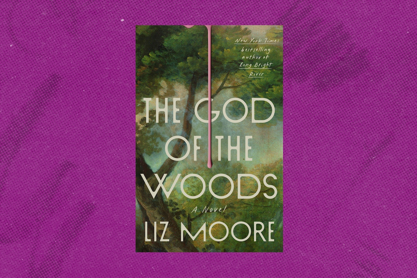 ‘The God of the Woods,’ by Liz Moore book review