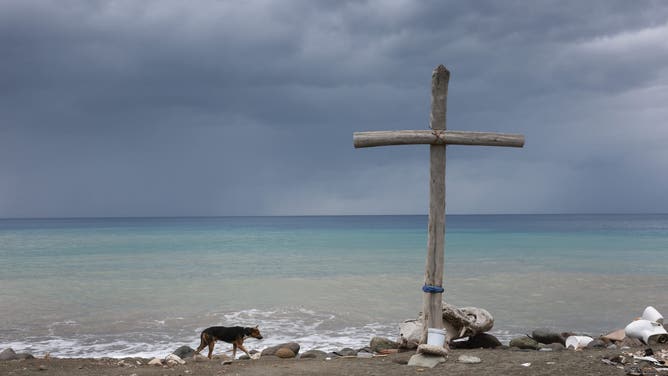 KINGSTON, JAMAICA - JULY 03: A dog walks along the beach before the arrival of Hurricane Beryl on July 03, 2024 in Kingston, Jamaica. Category 4 storm Beryl has caused widespread damage in several island nations as it continues to cross the Caribbean. (Photo by Joe Raedle/Getty Images)