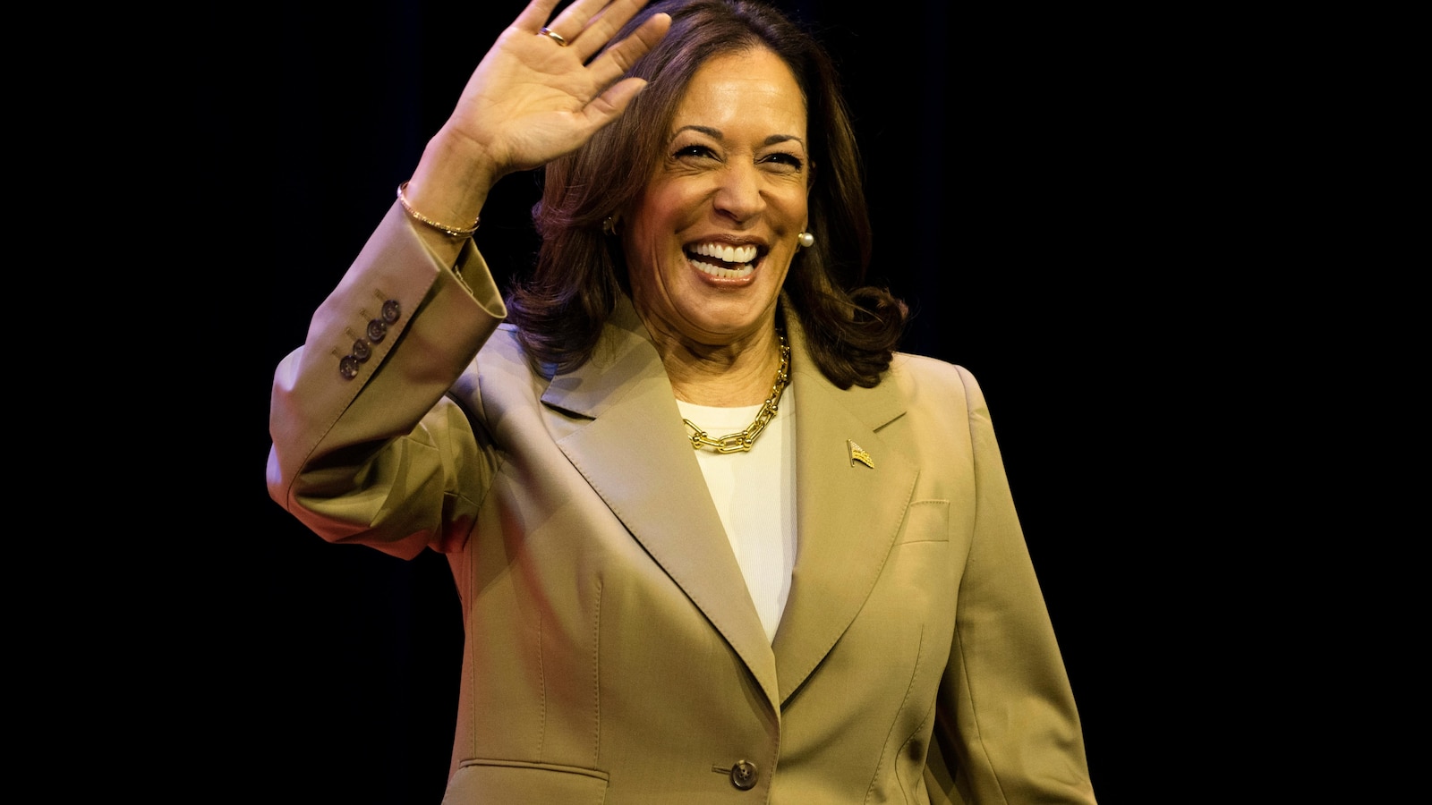 Majority of Democrats think Kamala Harris would make a good president, AP-NORC poll shows