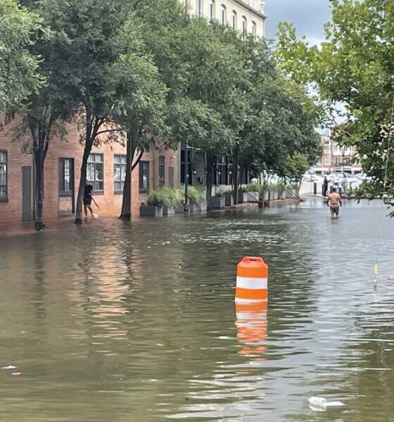 Flooding observed from Debby's heavy rainfall