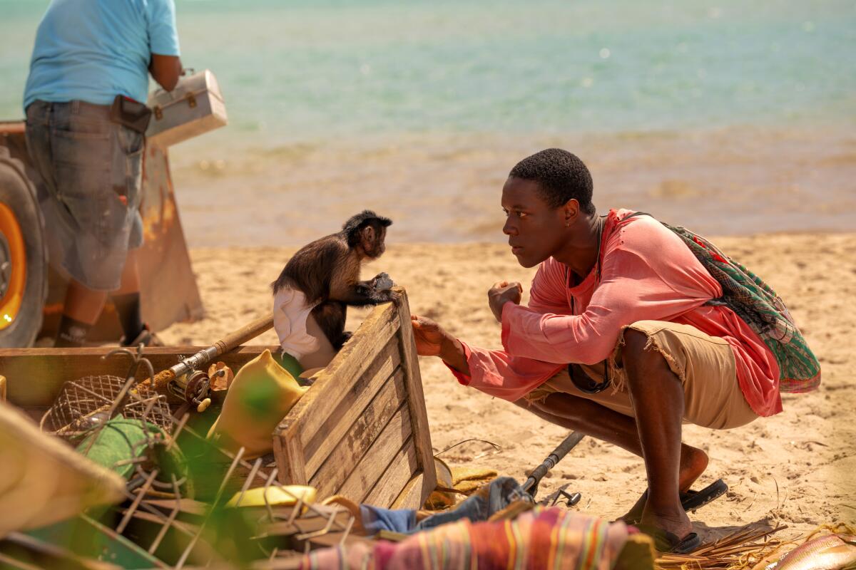 A monkey sitting on fishing equipment looking a man in a red shirt crouched on the beach.