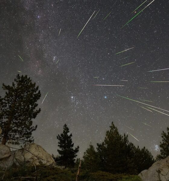 How to see shooting stars