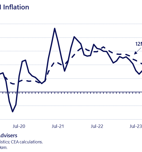 July 2024 CPI Report | CEA