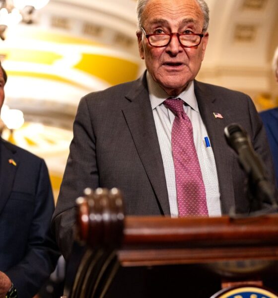 qué es el proyecto de ley de Chuck Schumer – Telemundo Washington DC (44)